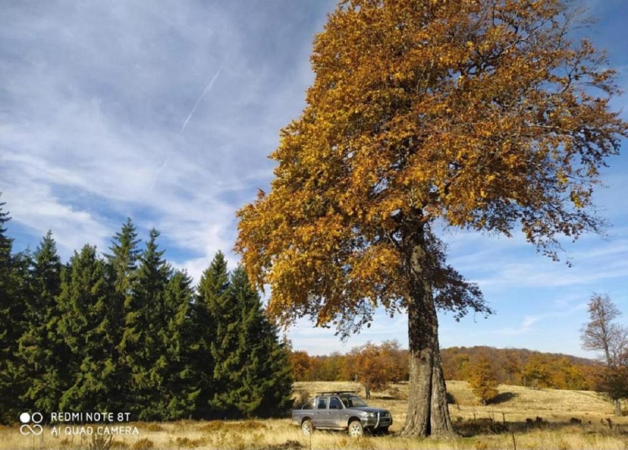 Strmosten Vodenica Lugヴィラ エクステリア 写真